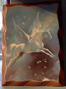 Hosi rescued from the Pennywise Thriftstore in December