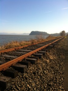 Looking towards Tongue Point on the loop walk- home to the Bald Eagles which freak out my chickens.