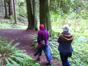 Taking a tree bath on the Audubon Trail with Betsy 