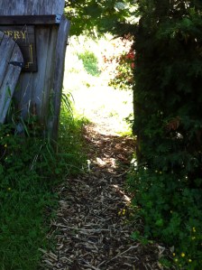 Path forward into the light.