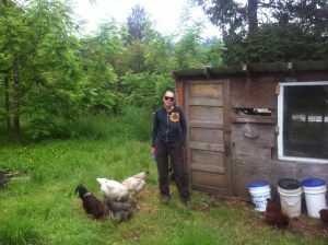 Checking in on the Svensen chickens wearing my super fly sunglasses sent by a friend.