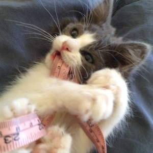 We each carry our own internal measuring device, to calibrate what is normal for us.