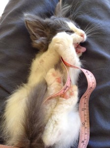 At times we don't feel that we "measure up" to our own expectations.