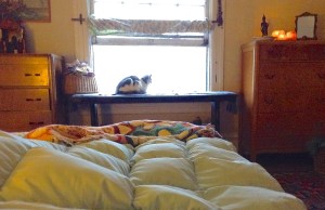 Can the placement of our Bed effect our health?