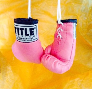 The tiny pink boxing gloves a kind person gifted to me hold a strange fascination for me.