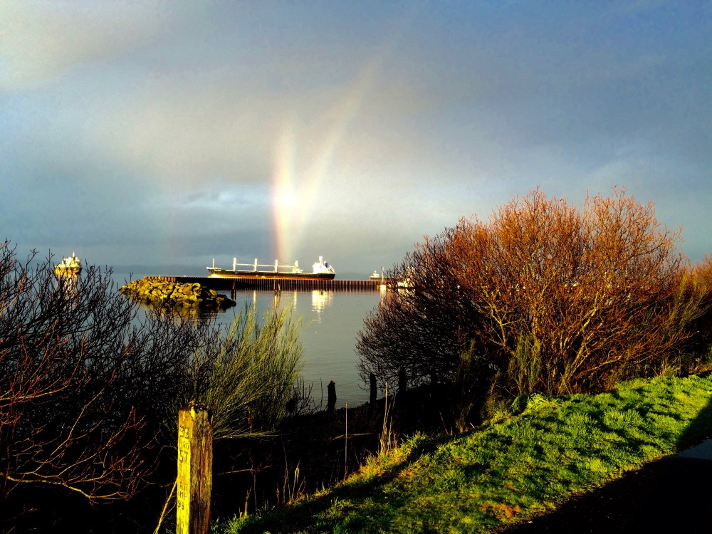 Rainbow Sign in early February.