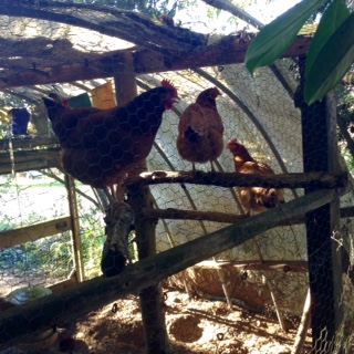 The Trio bonding by complaining together.