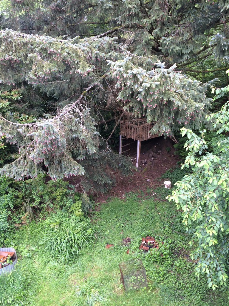 The view down to pinecone village, where Martin spends much of his creative energy.