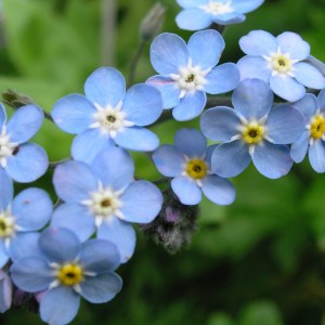 fifth chakra, the Throat chakra - color a clear blue or turquoise.