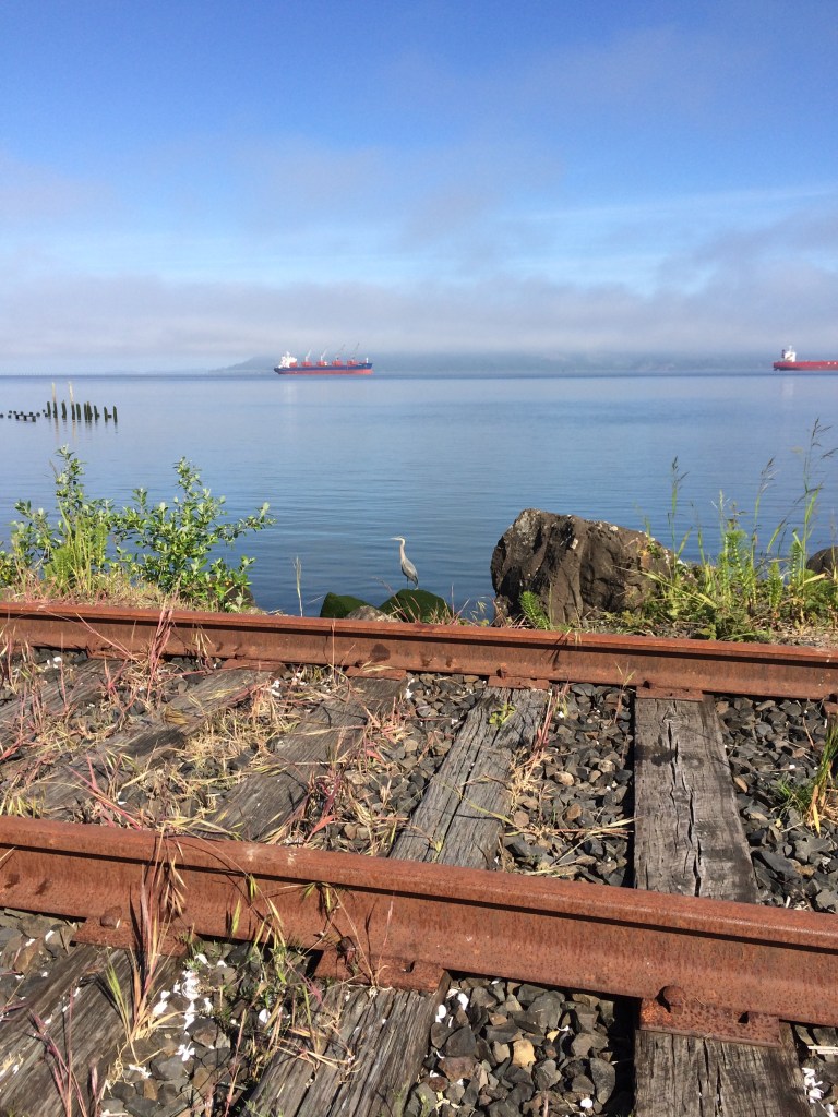 Herons, messengers of mindfulness.