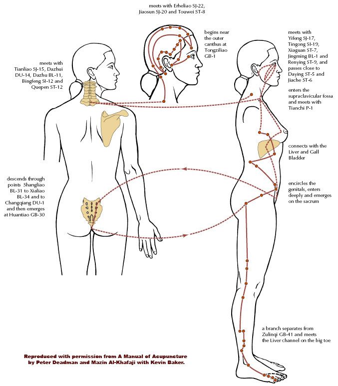 Gall Bladder Meridian